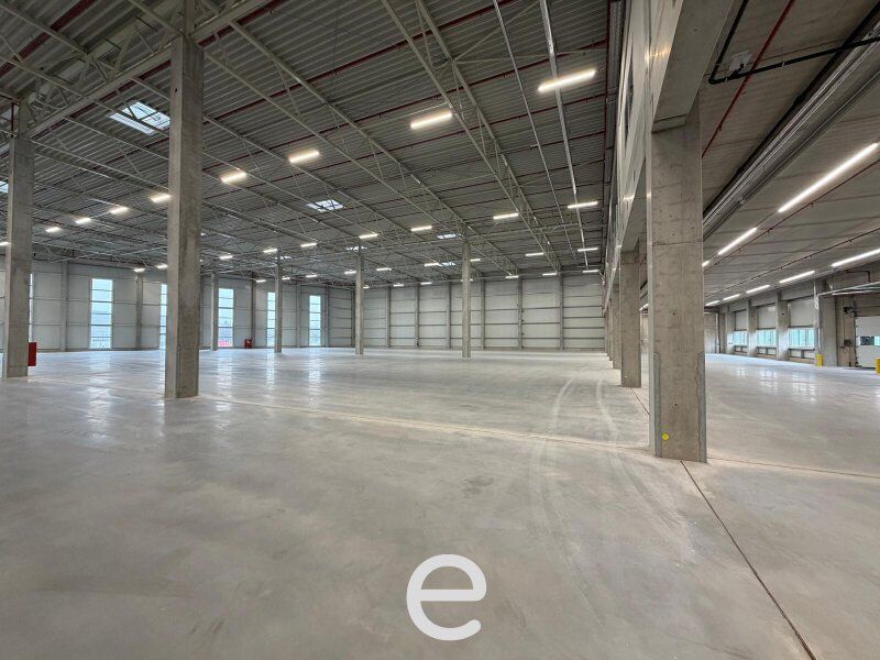 NEUBAU  - Produktions / Lagerhalle mit Büroflächen in Enns/Ennshafen zu vermieten – individuell und zukunftsorientiert - Bild 1