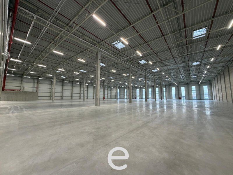 NEUBAU  - Produktions / Lagerhalle mit Büroflächen in Enns/Ennshafen zu vermieten – individuell und zukunftsorientiert - Bild 5