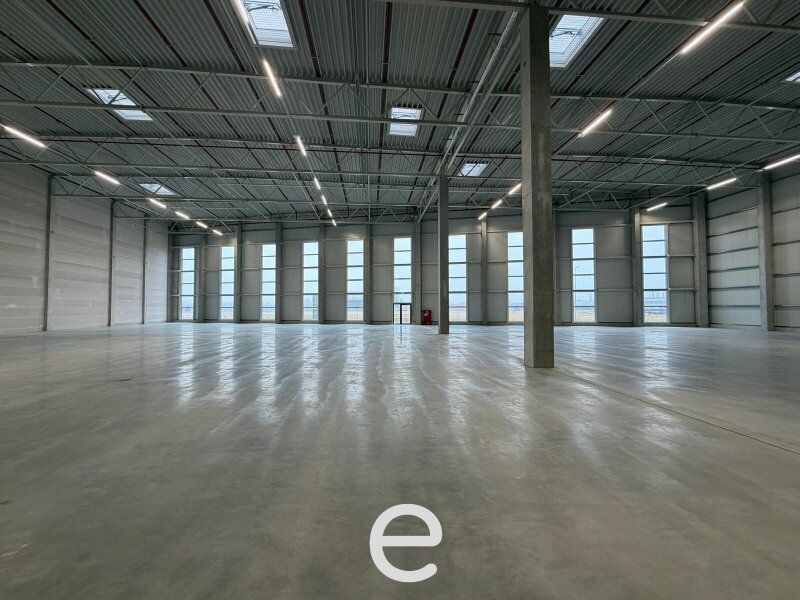 NEUBAU  - Produktions / Lagerhalle mit Büroflächen in Enns/Ennshafen zu vermieten – individuell und zukunftsorientiert - Bild 3