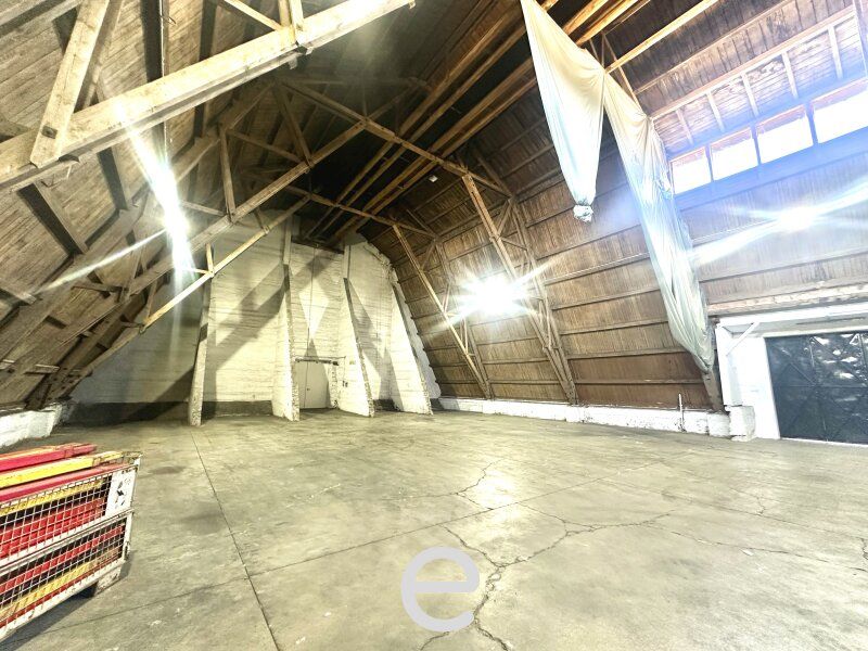 700m² Lagerhalle in Enns zu vermieten! - Bild 4