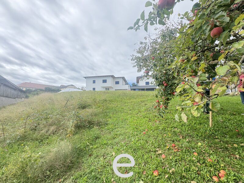 Attraktives Baugrundstück in Wolfsbach – 932m² für individuelle Träume - Bild 3
