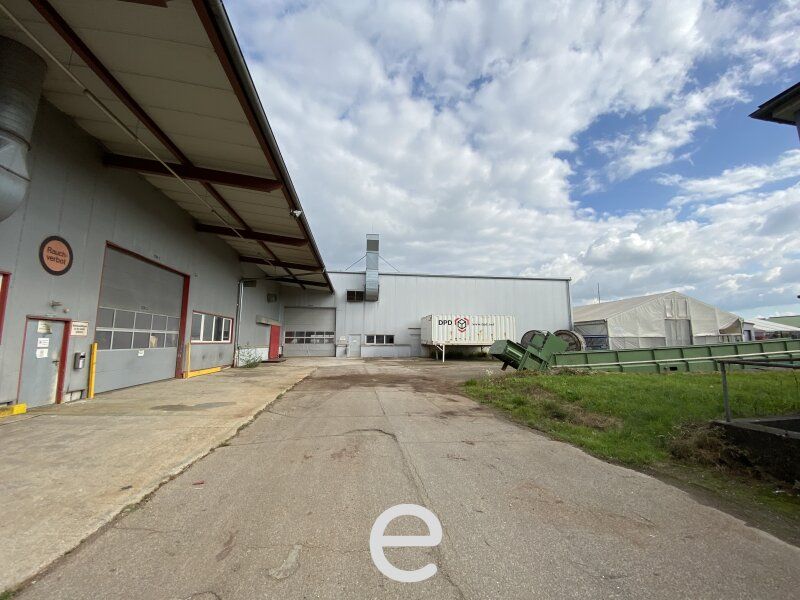 Lagerhalle mit rd. 7 bis 9 Meter Hallenhöhe, beheizbar, diversen Krananlagen, Freiflächen etc. in Asten zu vermieten! - Bild 3