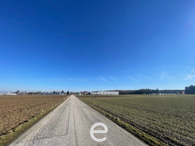 Attraktiver Betriebsbaugrund in Steinhaus OÖ - Nähe Knotenpunkt Sattledt - Bild 3