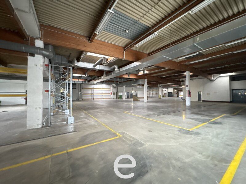 Gewerbeimmobilie zur Miete in Wels – Industriegebiet mit Top-Lage - Bild 9