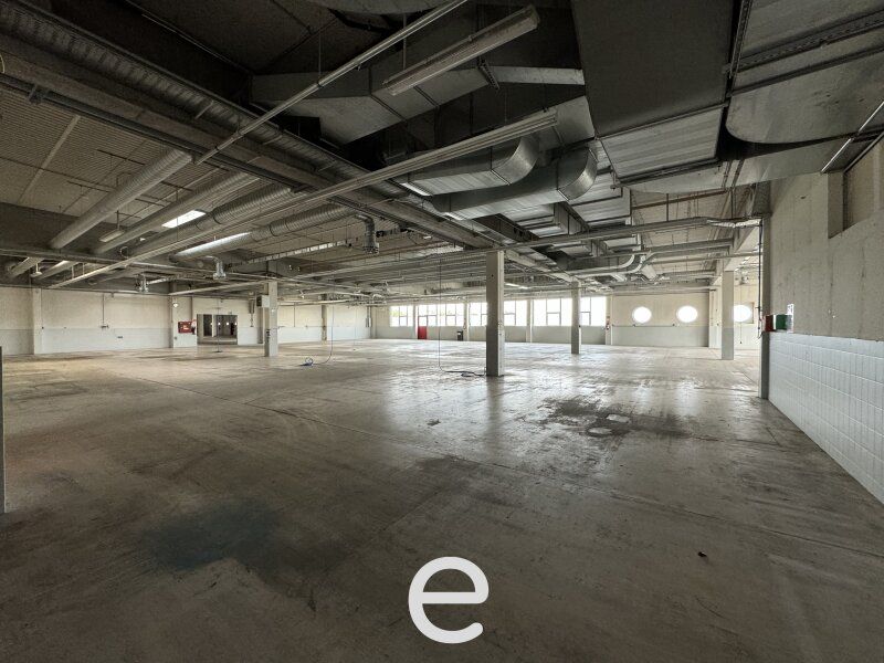 Produktions und Lagerhalle mit hervorragender Verkehrsanbindung! - Bild 8