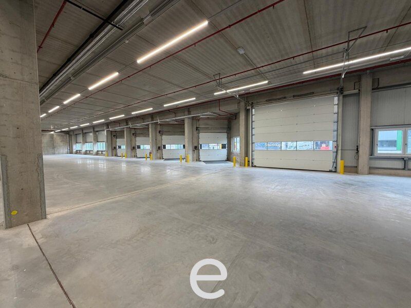 NEUBAU  - Produktions / Lagerhalle mit Büroflächen in Enns/Ennshafen zu vermieten – individuell und zukunftsorientiert - Bild 3