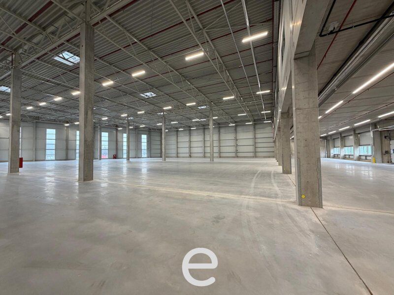 NEUBAU  - Produktions / Lagerhalle mit Büroflächen in Enns/Ennshafen zu vermieten – individuell und zukunftsorientiert - Bild 2