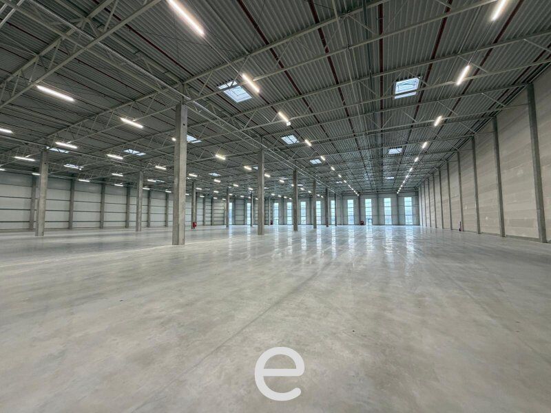 NEUBAU  - Produktions / Lagerhalle mit Büroflächen in Enns/Ennshafen zu vermieten – individuell und zukunftsorientiert - Bild 6