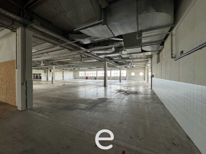 Produktions und Lagerhalle mit hervorragender Verkehrsanbindung! - Bild 14