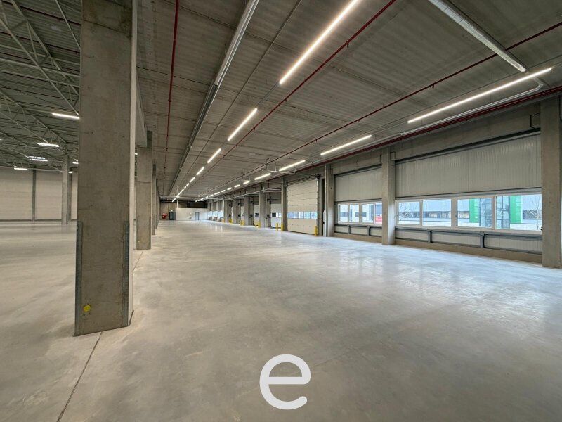 NEUBAU  - Produktions / Lagerhalle mit Büroflächen in Enns/Ennshafen zu vermieten – individuell und zukunftsorientiert - Bild 2