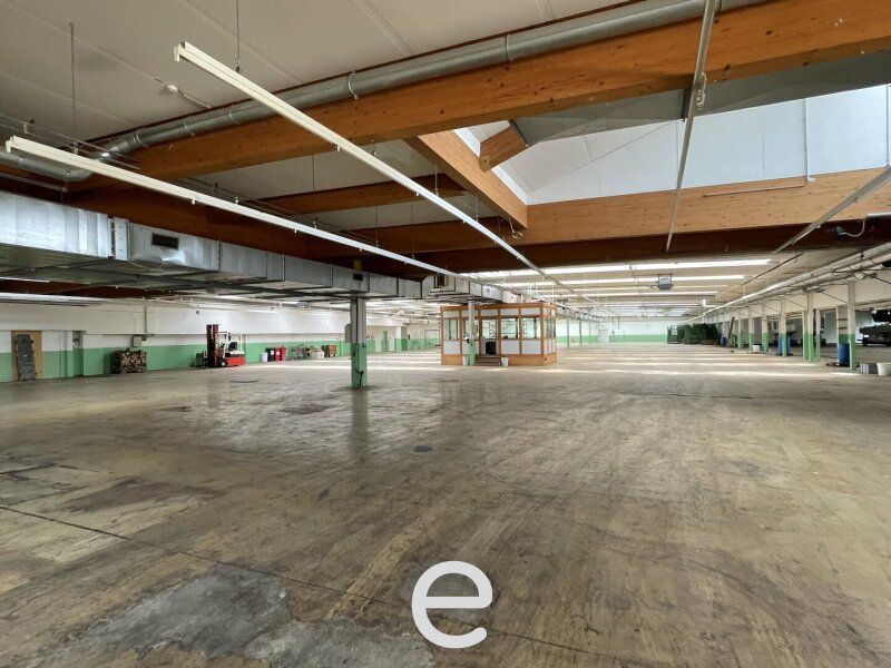 Lager/Gewerbehalle am Attersee zu vermieten! - Bild 3