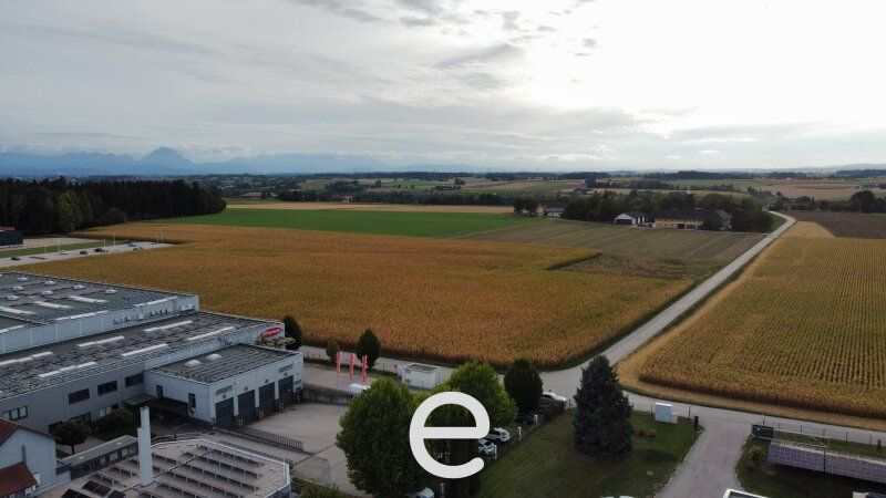 Attraktiver Betriebsbaugrund in Steinhaus OÖ - Nähe Knotenpunkt Sattledt - Bild 4