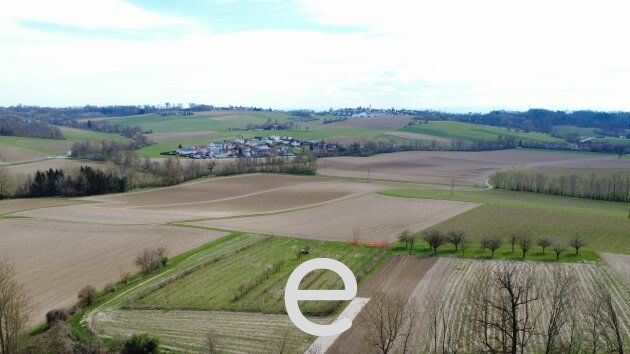 4,2 ha Ackerland in Straßham (nähe Alkoven) zu verkaufen!
