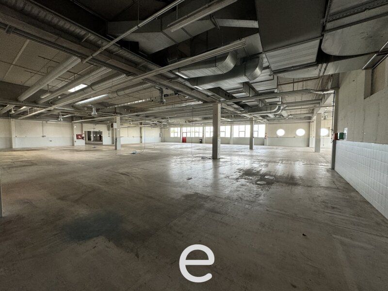 Produktions und Lagerhalle mit hervorragender Verkehrsanbindung! - Bild 9