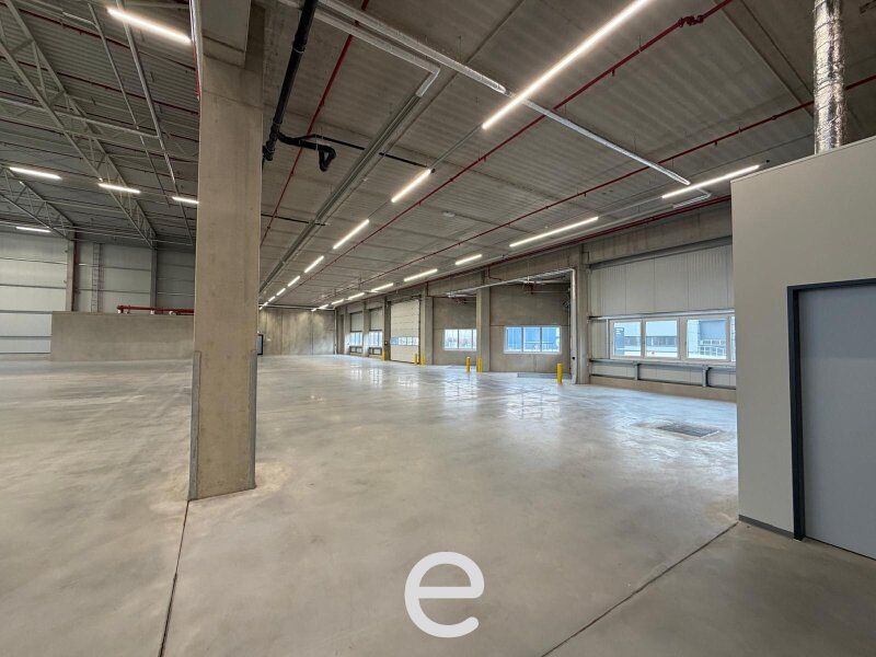 NEUBAU  - Produktions / Lagerhalle mit Büroflächen in Enns/Ennshafen zu vermieten – individuell und zukunftsorientiert - Bild 1
