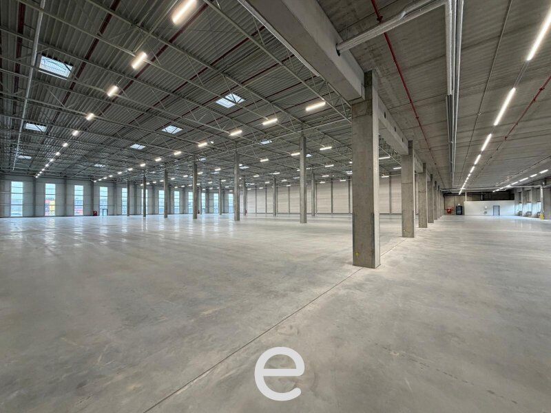NEUBAU  - Produktions / Lagerhalle mit Büroflächen in Enns/Ennshafen zu vermieten – individuell und zukunftsorientiert - Bild 1