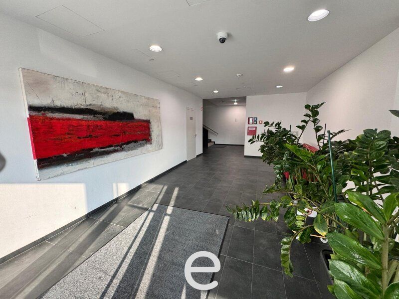 Modernes Büro am Winterhafen, Linz Zentrum, ab sofort mietbar! - Bild 3