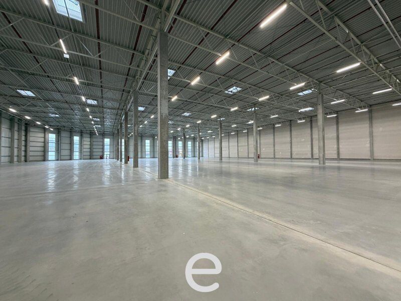 NEUBAU  - Produktions / Lagerhalle mit Büroflächen in Enns/Ennshafen zu vermieten – individuell und zukunftsorientiert - Bild 4