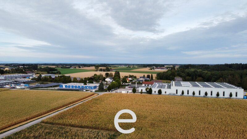 Attraktiver Betriebsbaugrund in Steinhaus OÖ - Nähe Knotenpunkt Sattledt - Bild 5