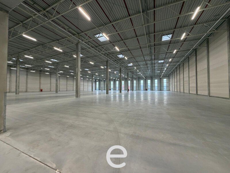 NEUBAU  - Produktions / Lagerhalle mit Büroflächen in Enns/Ennshafen zu vermieten – individuell und zukunftsorientiert - Bild 5